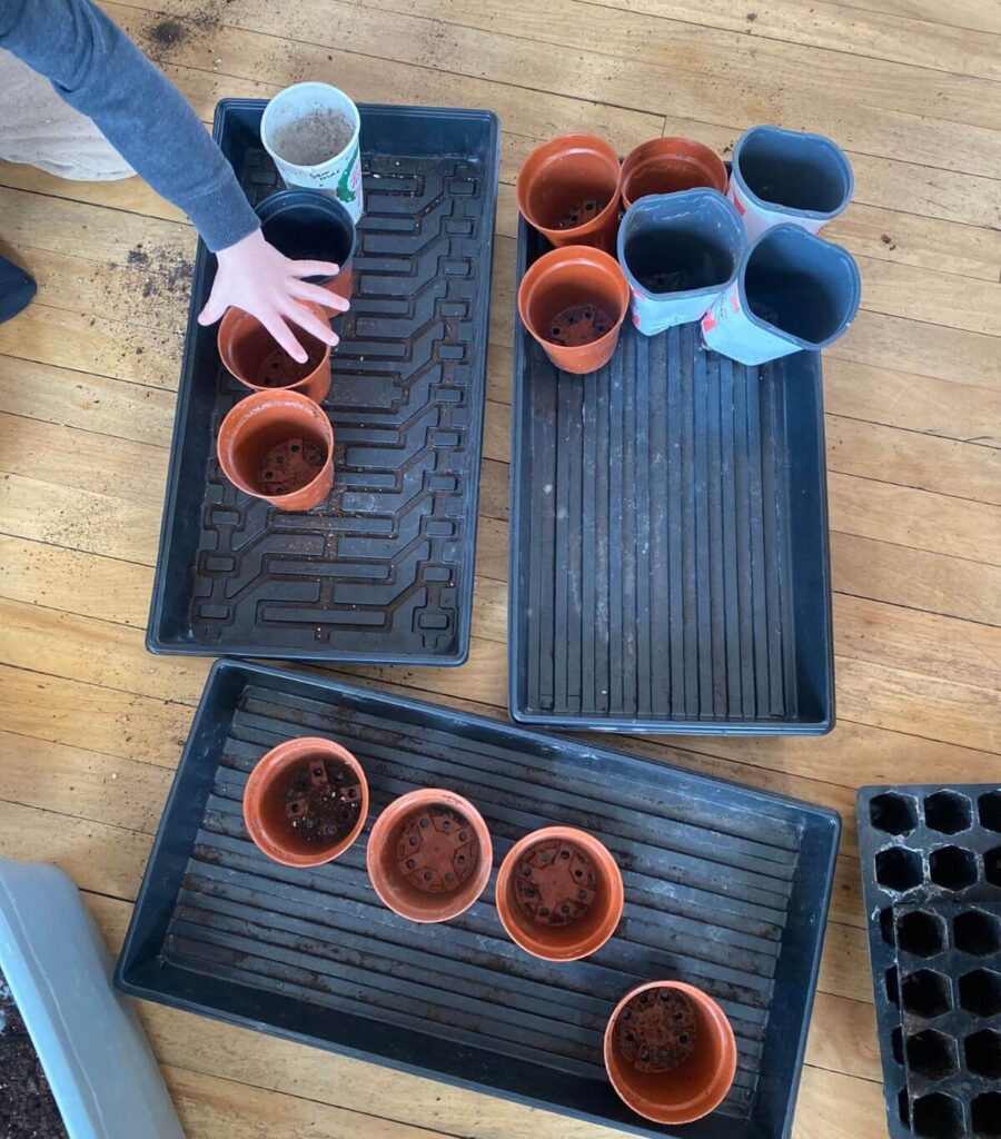 A child assembling empty pots into a seedling tray