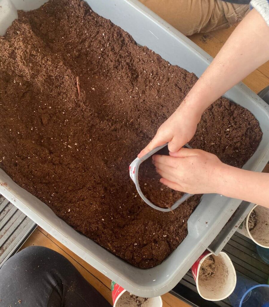 A child adding soil to a small flower pot