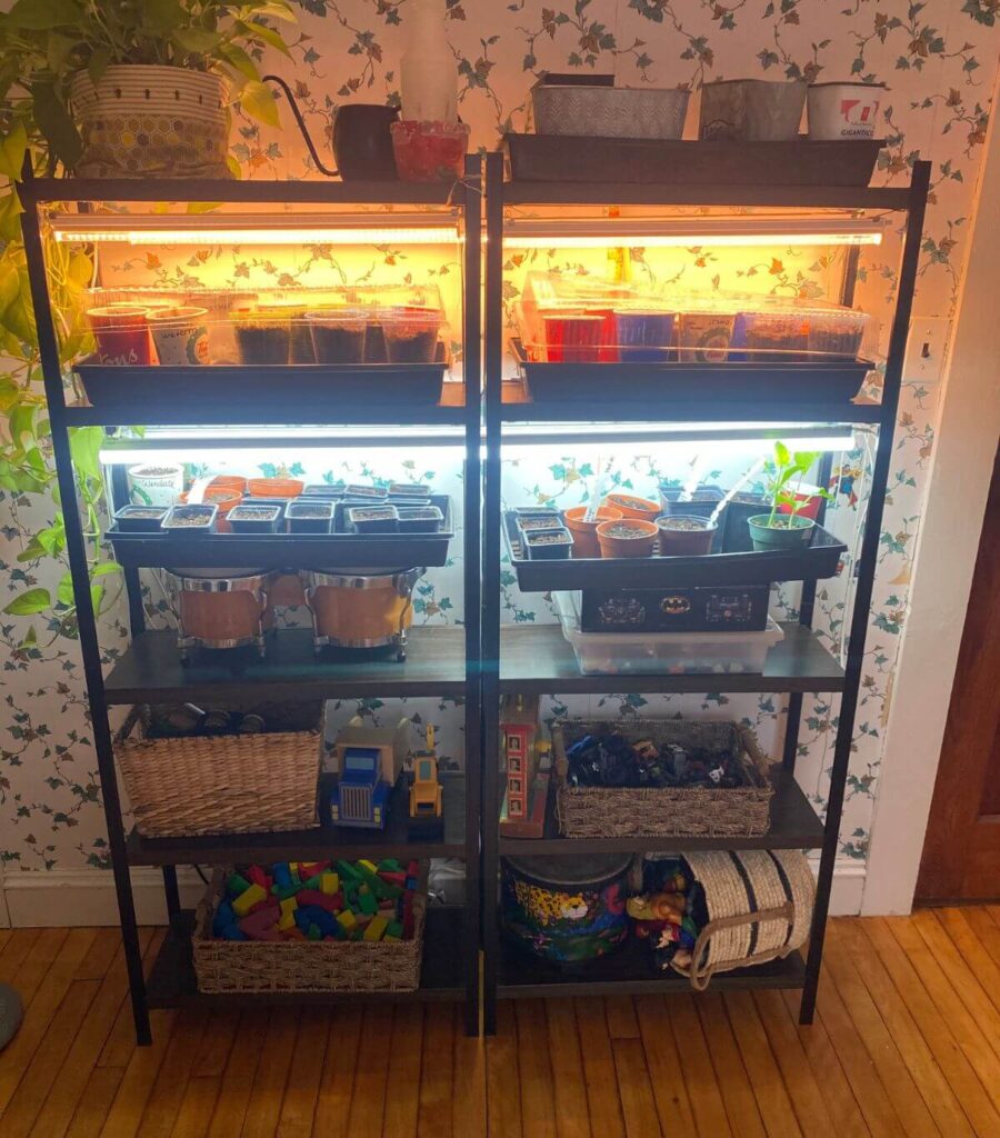 Two shelves with seedlings on the upper shelves and toys on the bottom.