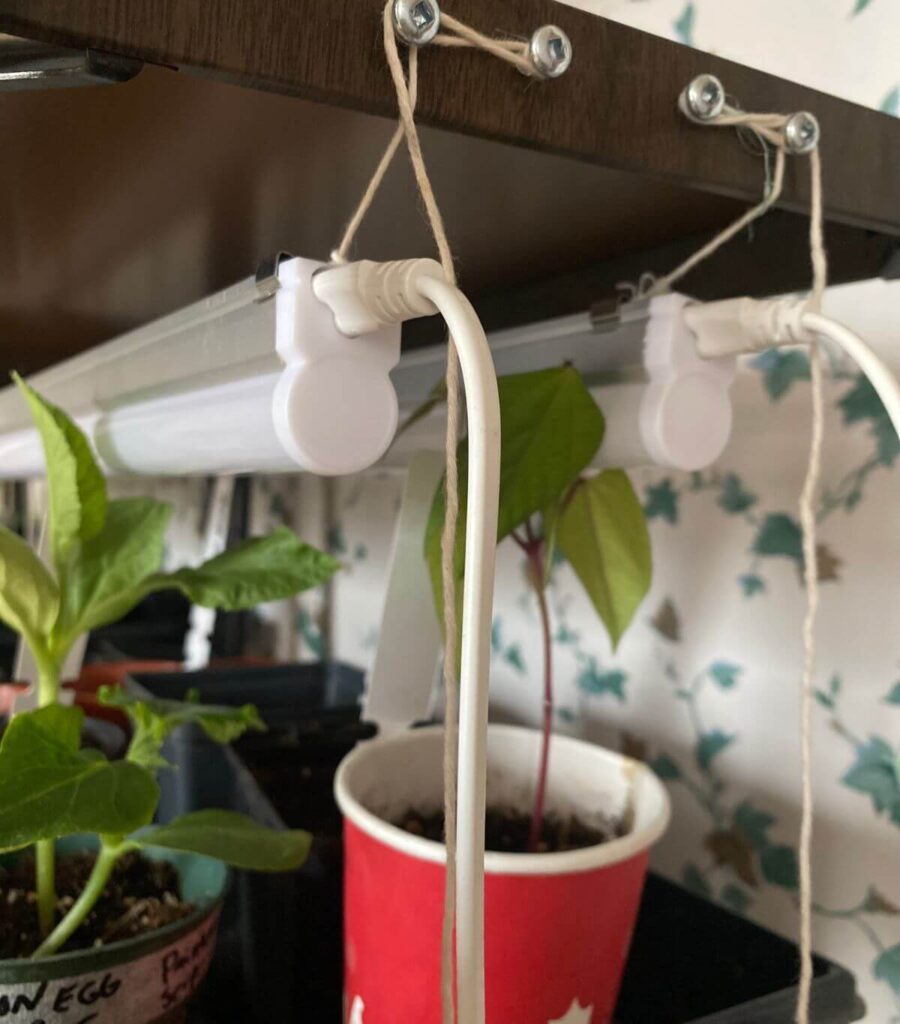 Close up shot of grow lights hanging over seedlings.