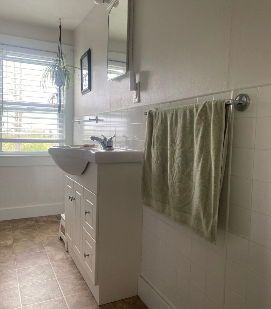 A spotless bathroom with a green hand towel and hanging spider plant.