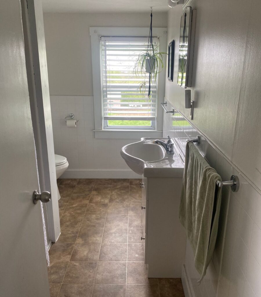 A clean bathroom with a towel hung, clear vanity and spider planting hanging near the bright window.