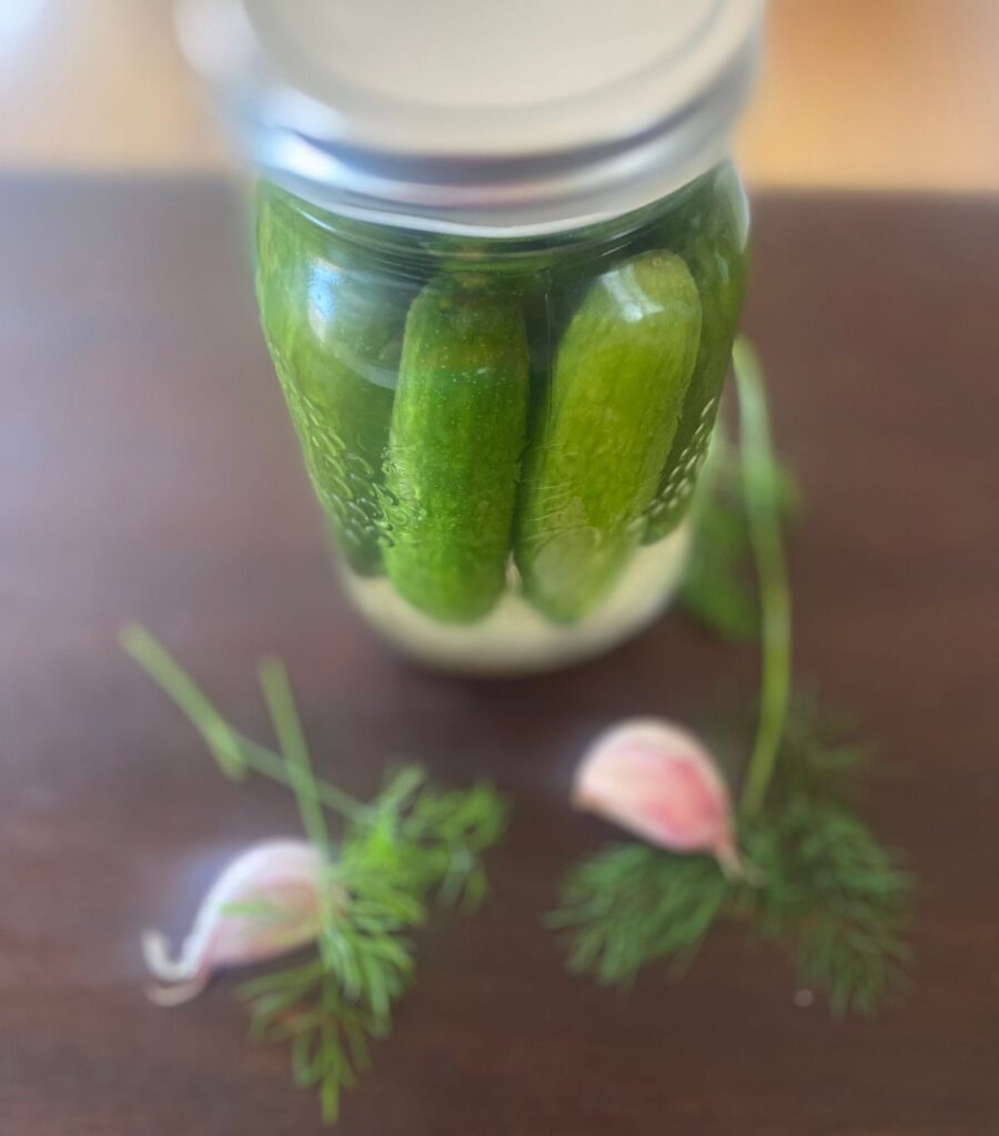 A bird's eye view of a pretty jar of pickles with garlic and fresh dill surrounding it.